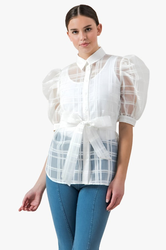 A See-thru Mini Length Organza Top