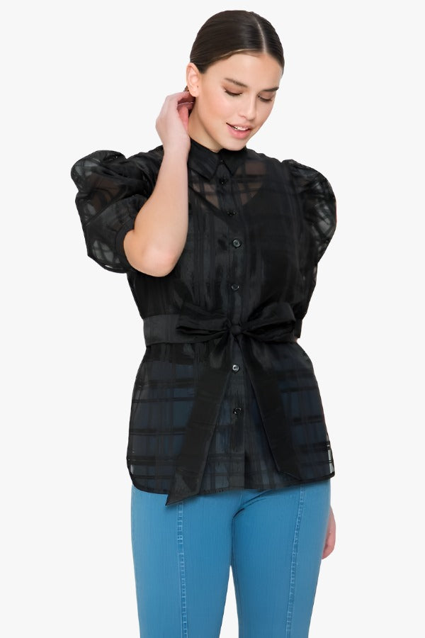 A See-thru Mini Length Organza Top