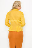 Organza Pleated Long Sleeve Blouse