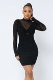 Animal Print Long Sleeve Mock Neck Mini Dress